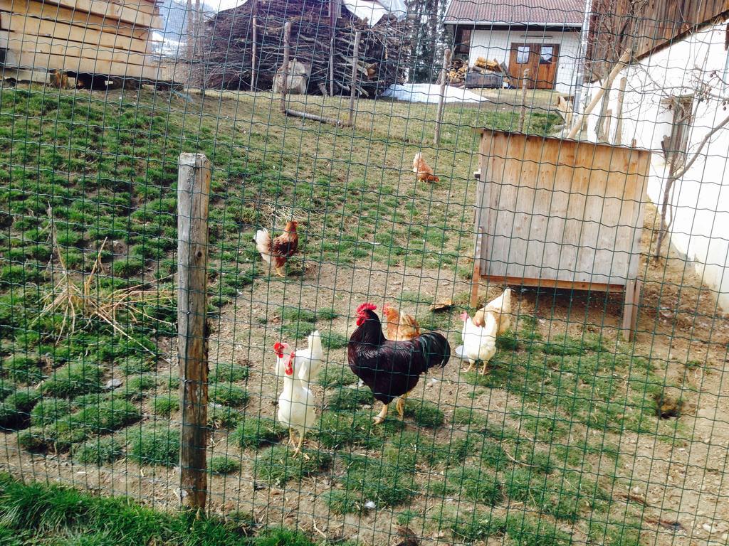 Ferienhof Formegg Hopfgarten im Brixental Exterior photo